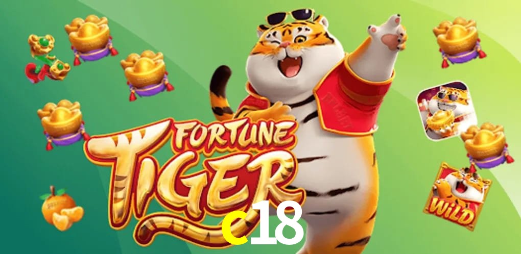 Security Systems c18